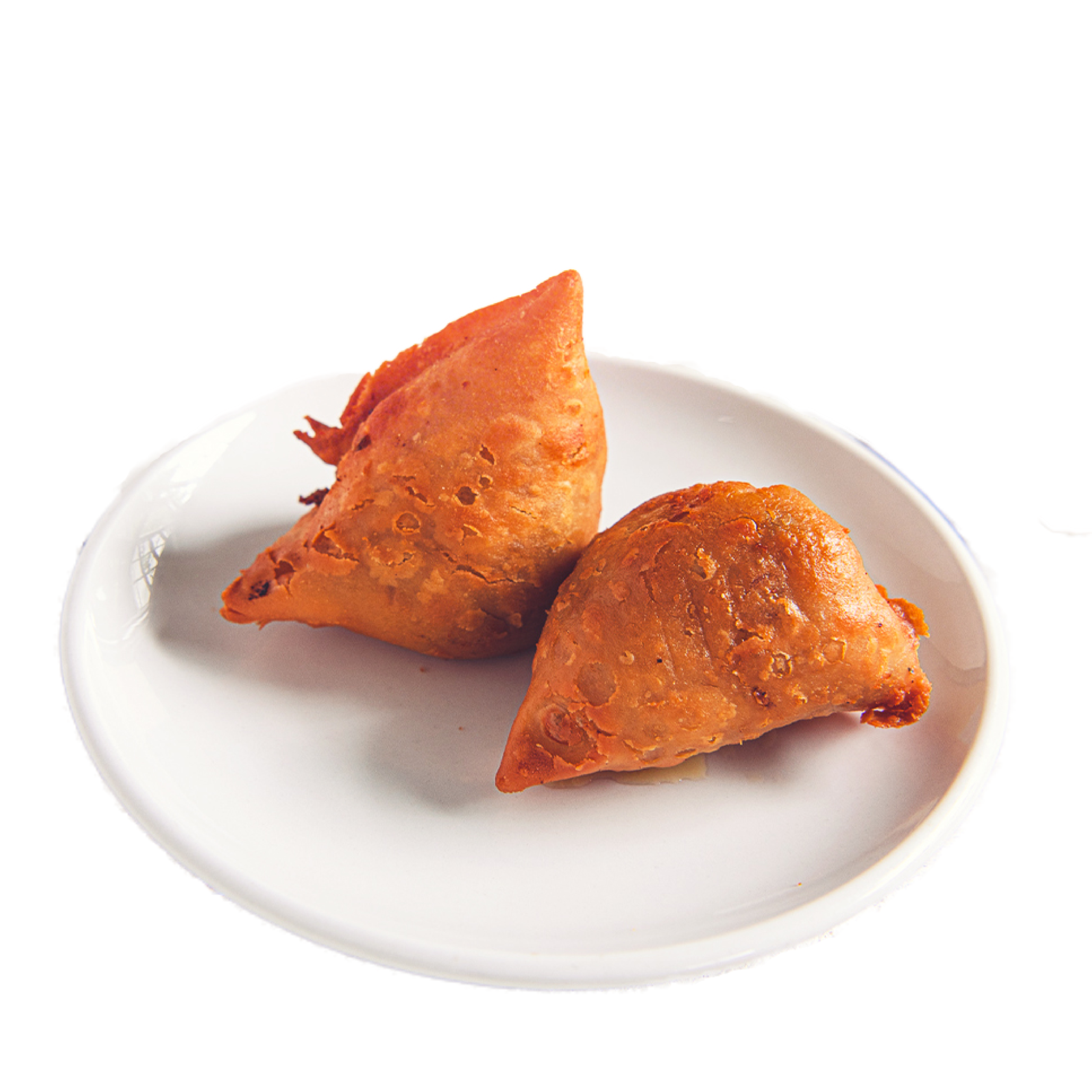 Veggie Samosa (2)